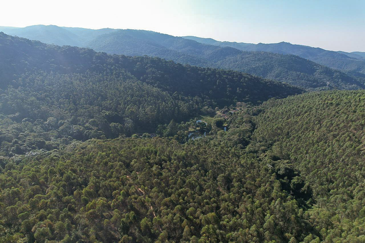 Divisão Florestal da GMJ protege a Serra do Japi e garante a preservação do Meio Ambiente de Jundiaí