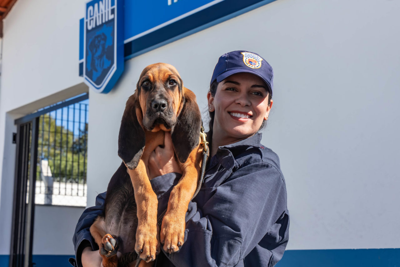 Novo cão da Guarda de Jundiaí ajuda na busca por pessoas desaparecidas