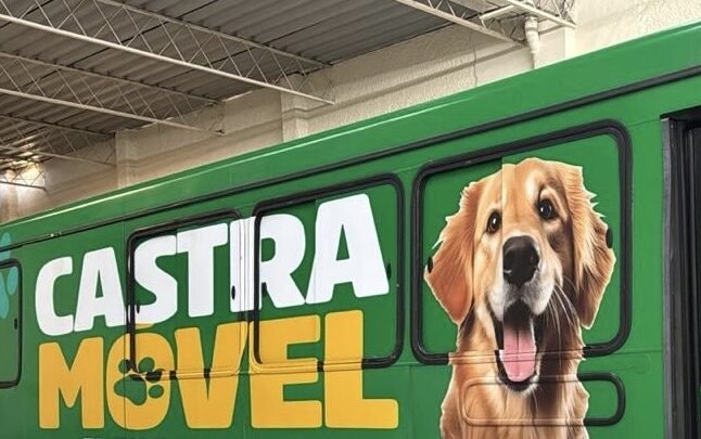 Castramóvel: ação promete atender 10 mil animais e zerar a fila da castração na cidade