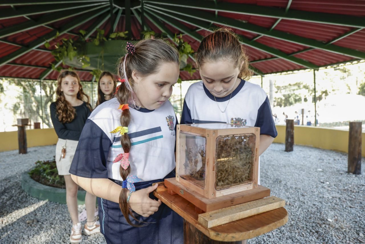 Educação ambiental em Jundiaí ganha destaque na COP30