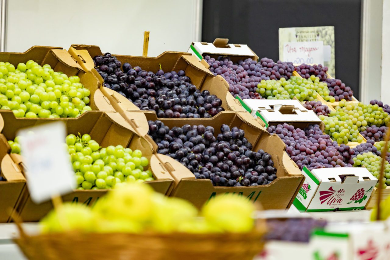 Festa da Uva Jundiaí celebrou a cultura local e gerou benefícios diretos à população