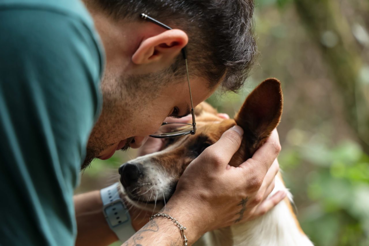 Festa da Uva 2026 une cultura, saúde e cuidado com os animais em Jundiaí