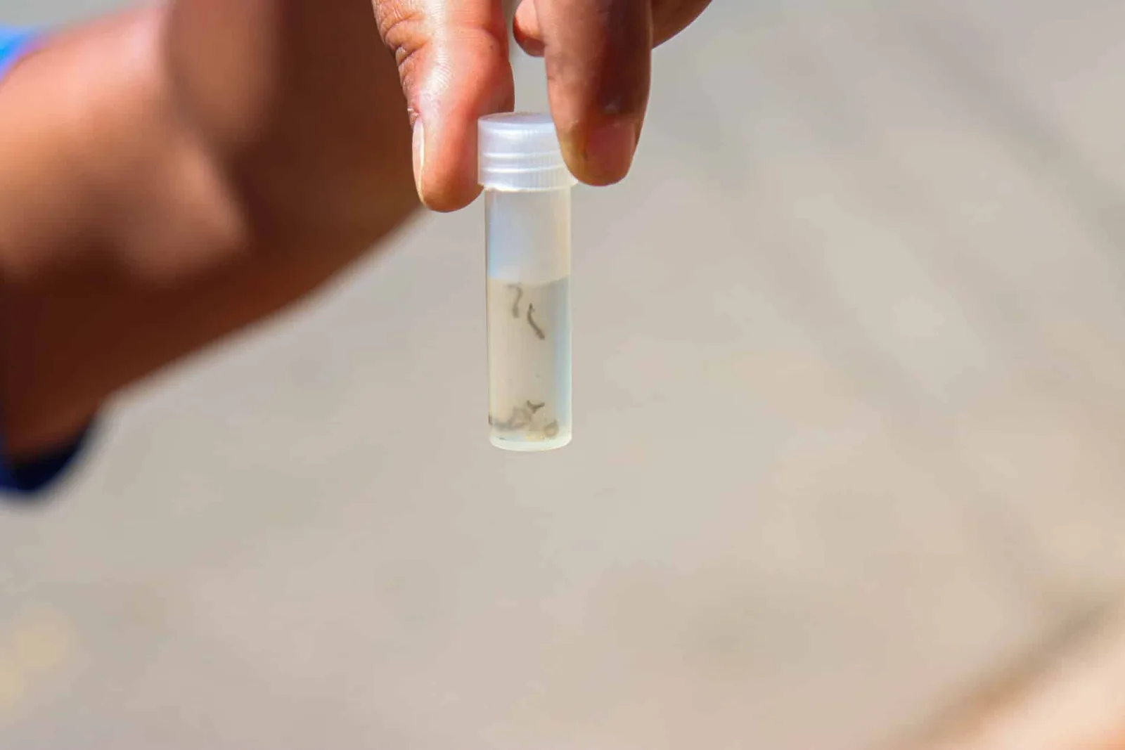 Jundiaí reduz dengue em 58% em relação ao último ano