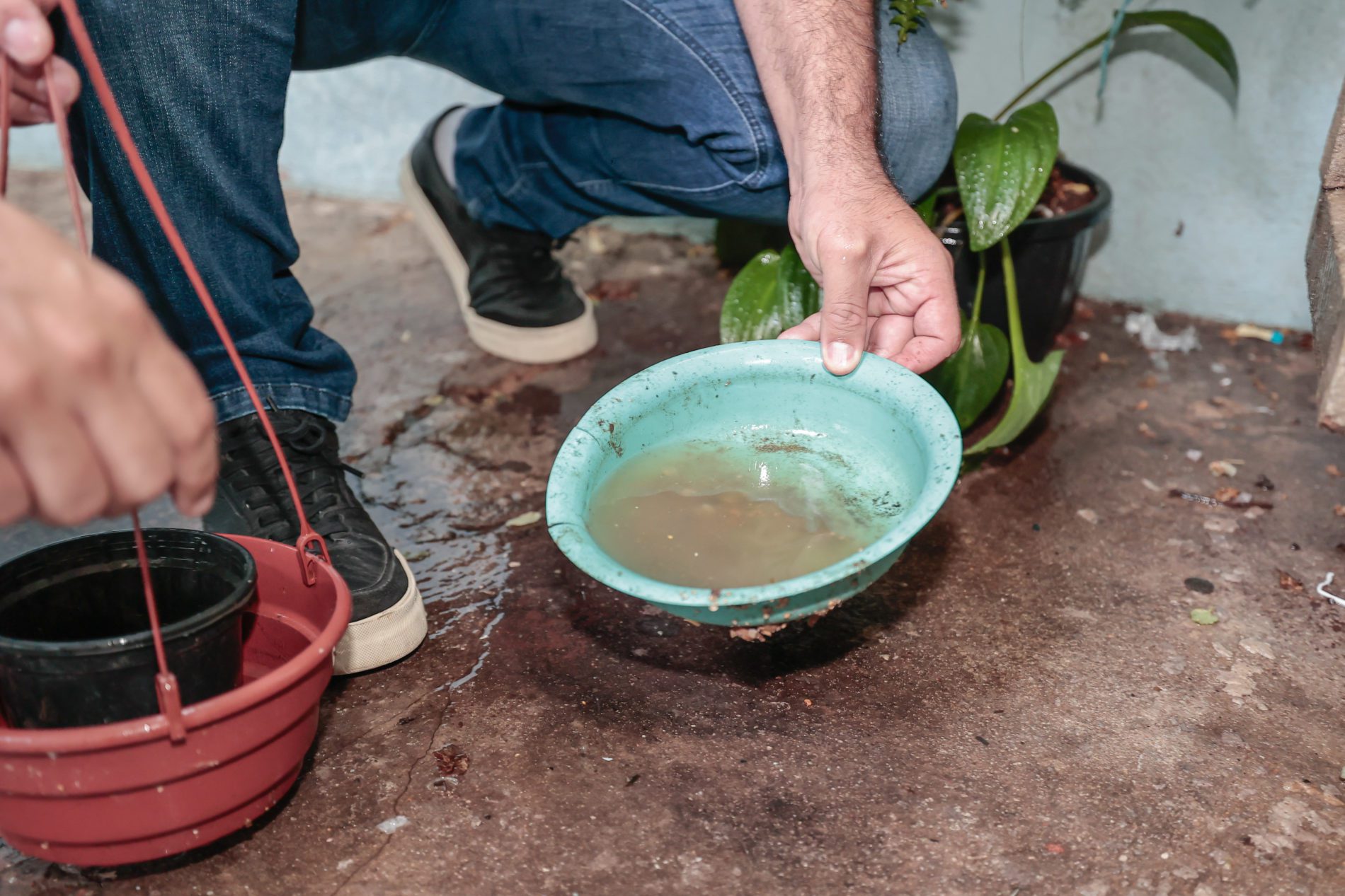 Jundiaí reforça combate à dengue com ações educativas e vacinação