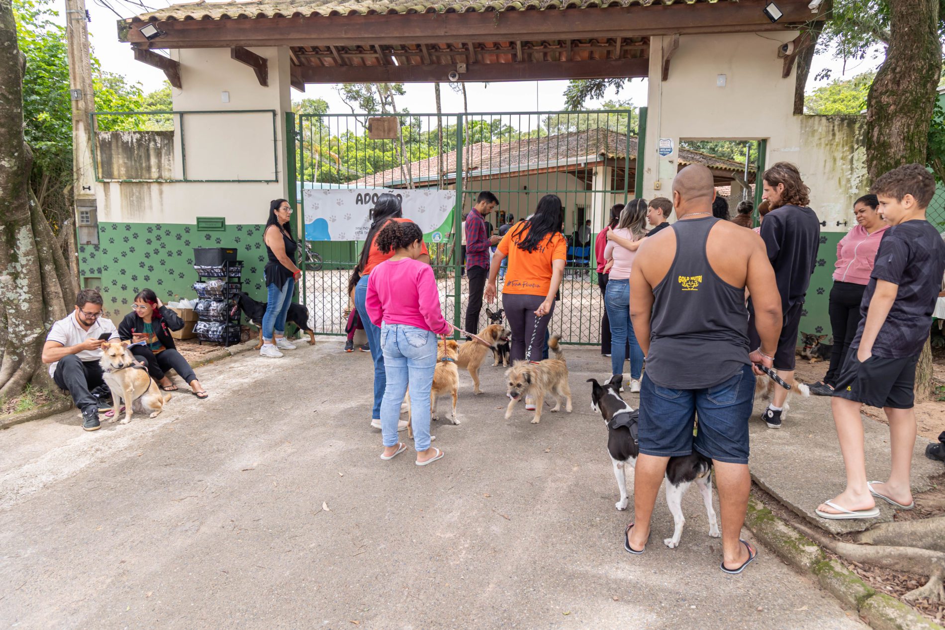 Mutirão de castração do DEBEA reforça cuidado animal em Jundiaí
