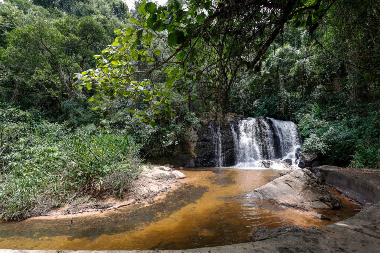 Serra do Japi completa 43 anos de preservação em Jundiaí