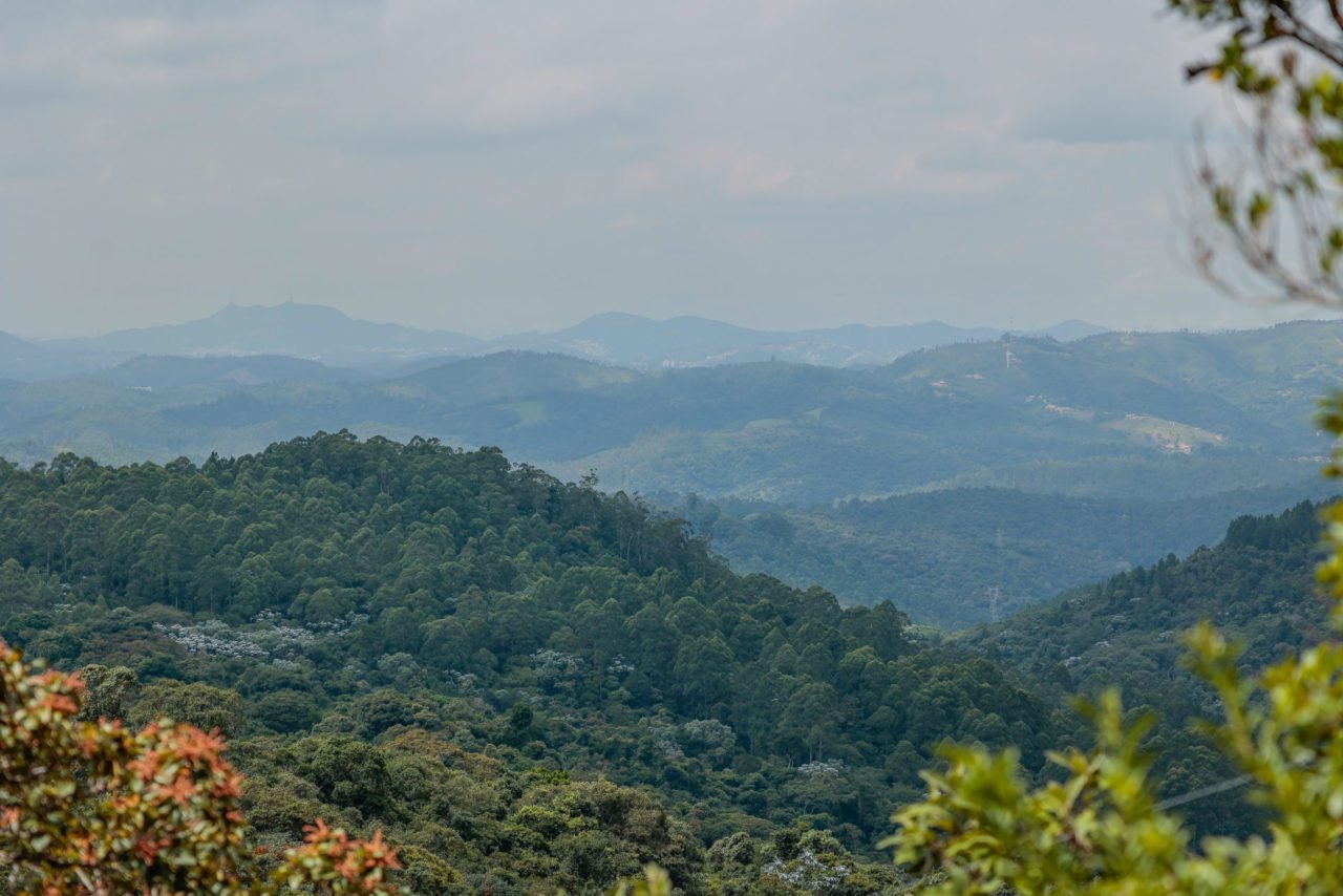 Moradores participam do plano de prevenção de incêndios na Serra do Japi