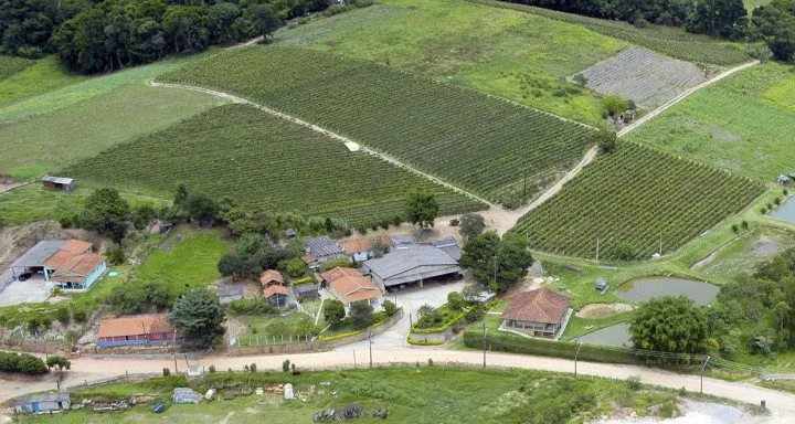 Turismo rural em Jundiaí avança com capacitação de produtores